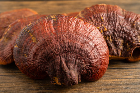Dried lingzhi mushroom with capsule drug, alternative medicine herbal organic herb.