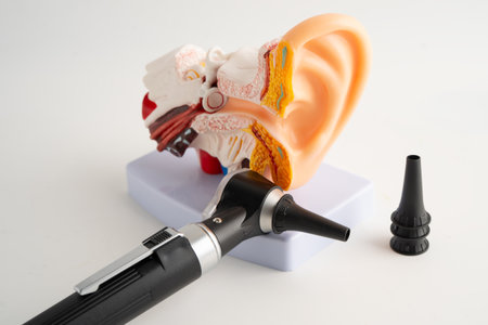 Otoscope with model for audiologist or ENT doctor use otoscope checking ear and treat hearing loss problem.の写真素材