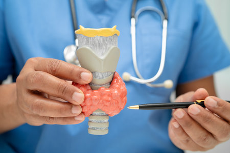 Hyperthyroidism, Overactive Thyroid, Thyroid Lymphoma, Asian doctor with thyroid gland human anatomy...