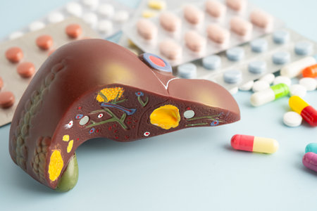 Liver model with pill drug treatment, Cirrhosis, Liver cancer, fatty liver.