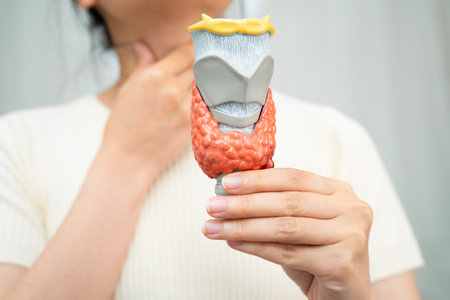 Hyperthyroidism, Overactive Thyroid, Thyroid Lymphoma, Asian woman with thyroid gland human anatomy model.の写真素材