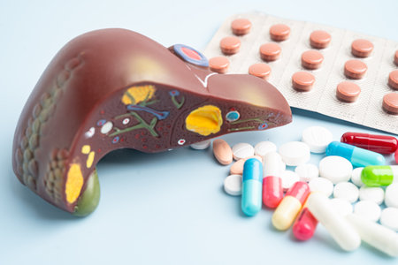 Liver model with pill drug treatment, Cirrhosis, Liver cancer, fatty liver.