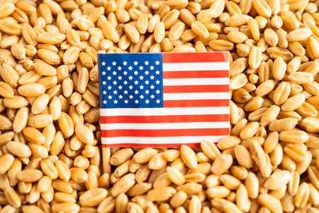 Grains wheat with US flag, trade export and economy.