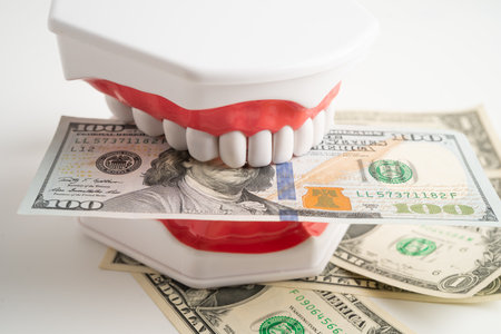 Treatment dental care cost, dental expense or fee, Euro banknote money with teeth model.の写真素材