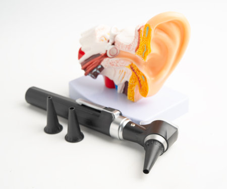Otoscope with model for audiologist or ENT doctor use otoscope checking ear and treat hearing loss...