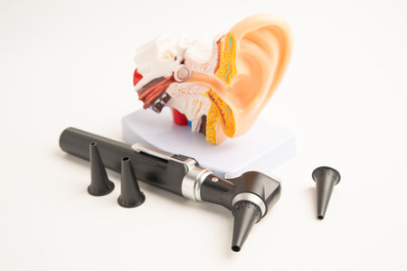 Otoscope with model for audiologist or ENT doctor use otoscope checking ear and treat hearing loss problem.の写真素材