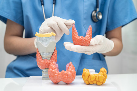 Hyperthyroidism, Overactive Thyroid, Thyroid Lymphoma, Asian doctor with thyroid gland human anatomy...
