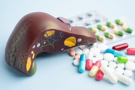 Liver model with pill drug treatment, Cirrhosis, Liver cancer, fatty liver.の写真素材