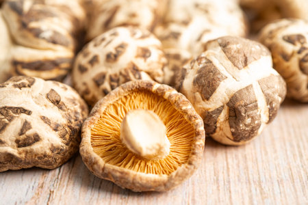 Dried shiitake mushroom isolated on white background with clipping path, healthy food.の写真素材
