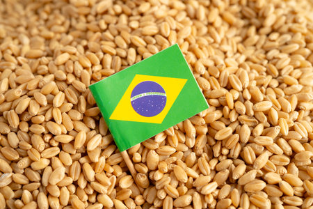 Grains wheat with Brazil flag, trade export and economy.の写真素材