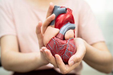 Cardiovascular disease CVD, Asian woman with heart human anatomy model.