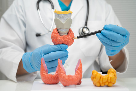 Hyperthyroidism, Overactive Thyroid, Thyroid Lymphoma, Asian doctor with thyroid gland human model...