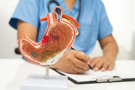 Stomach disease, doctor with anatomy model for study diagnosis and treatment in hospital.の写真素材