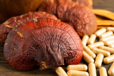 Dried lingzhi mushroom with capsule drug, alternative medicine herbal organic herb.