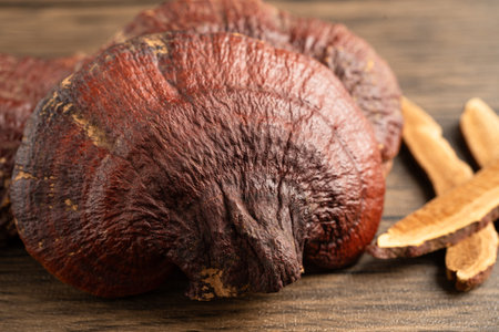 Dried lingzhi mushroom with capsule drug, alternative medicine herbal organic herb.