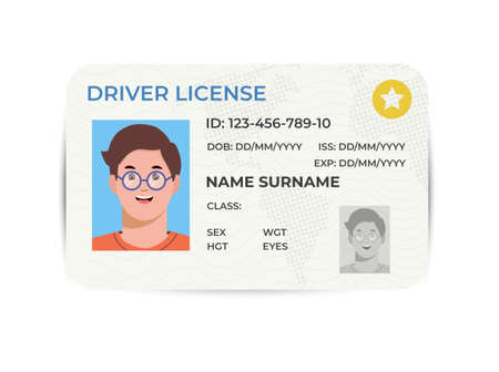 Drivers License. A plastic identity card. Vector flat illustration of the template.のイラスト素材