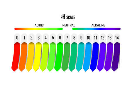 Ph scale. Indicator of acidity, alkalinity and neutral solution. Diagram for analysis, tests and infographics. Vector illustrationのイラスト素材