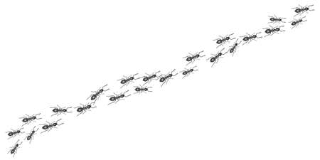A trail of ants. Insects march along the line. Vectorのイラスト素材