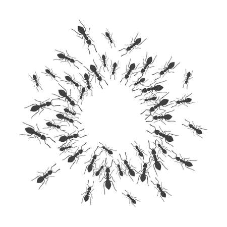 A colony of ants gathers in a circle. A group of insects around a place for a text. Vectorのイラスト素材
