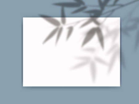 A4 paper mockup with overlay leaf shadow from window. Bamboo branch transparent reflection on blue background. Realistic vector template for poster, flyer and post.のイラスト素材
