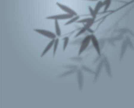 Overlay shadow of bamboo branch. Leaves of plants reflection on blue background. Blured silhouette...