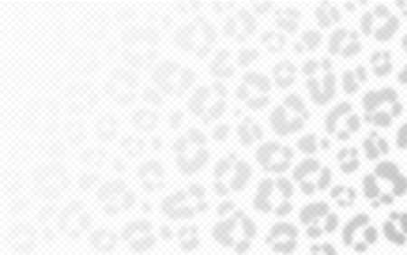 Cheetah texture shadow overlay on transparent background. Leopard skin reflection on wall. Vector realistic illustration. EPS 10.のイラスト素材
