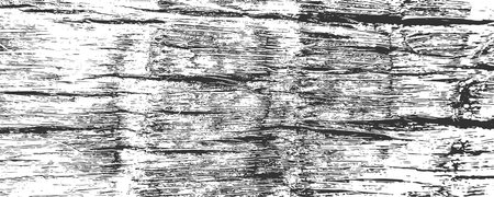 Grunge coconut palm bark texture background. Aged tree stem log. Vectorのイラスト素材