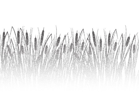 Grass reed stipple silhouette. Vector swamp cattail plants over water, dotted river marsh landscape with shadow.のイラスト素材