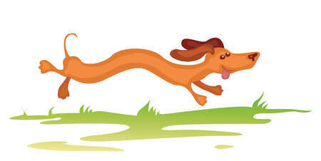 Cheerful funny dachshund puppy is running and jumping on the grassのイラスト素材