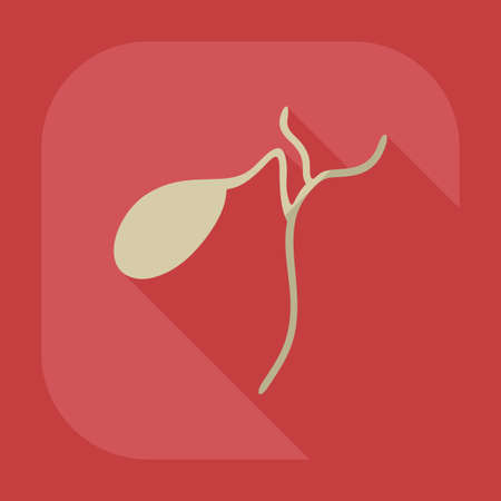 Gallbladder design with shadowのイラスト素材