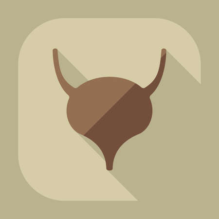 Flat modern design with shadow icons Bladderのイラスト素材