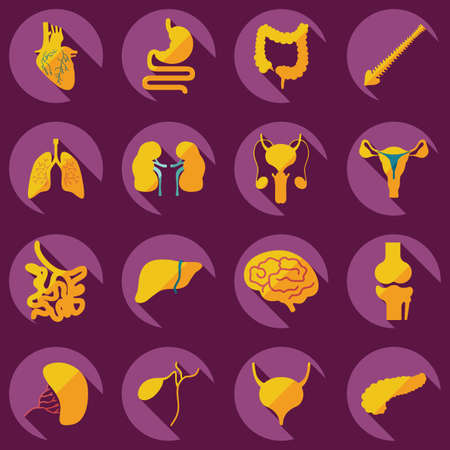 Flat concept, set modern design with shadow human organsのイラスト素材