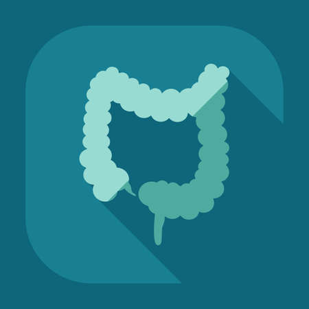 Flat modern design with shadow icons large intestineのイラスト素材