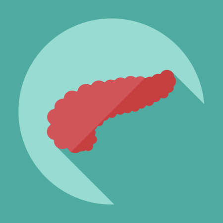 Flat modern design with shadow icons pancreasのイラスト素材