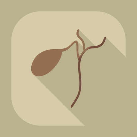 Gallbladder design with shadowのイラスト素材