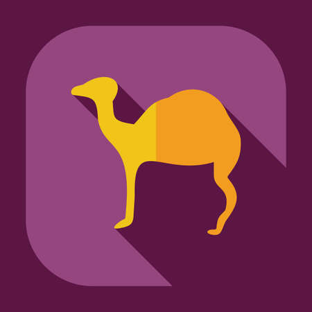 Flat concept, set modern design with shadow camelのイラスト素材