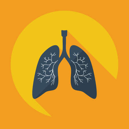 Flat modern design with shadow icons lungsのイラスト素材