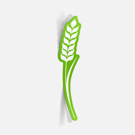 Realistic paper sticker: Ears of wheat. Isolated illustration iconのイラスト素材