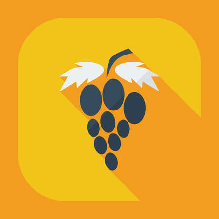Flat modern design with shadow icons grapesのイラスト素材