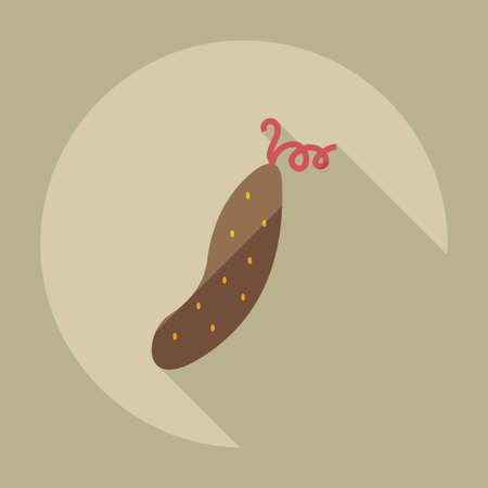 Flat modern design with shadow icons cucumberのイラスト素材