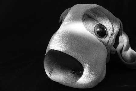 soft toy sad dog close-up on a black background in black and white photographyの写真素材