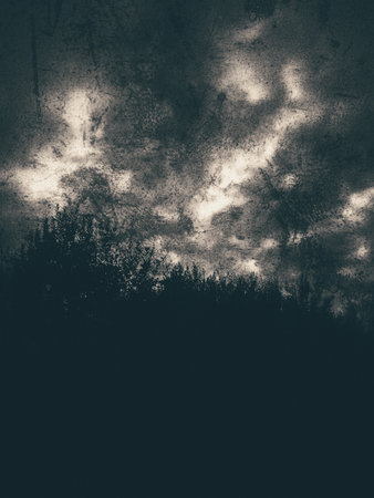 Scary dark landscape of trees against the sky, abstract background