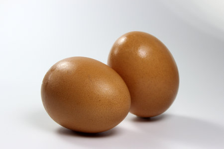 Brown chicken egg isolated on white background