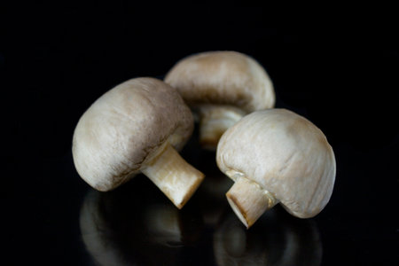 Champignon mushrooms on a black background. Selective focus.の写真素材