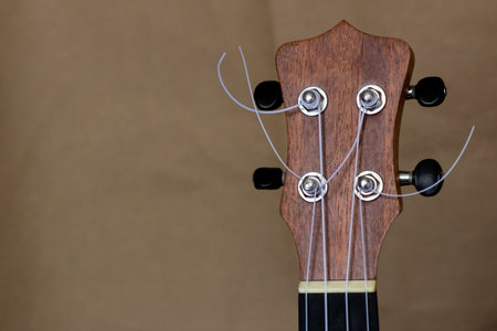ukulele headstock on a brown background with copy space.