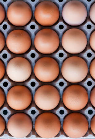 Chicken eggs in carton
