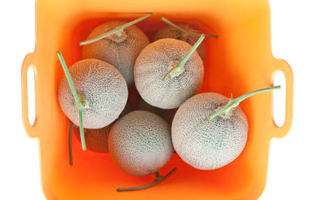Japanese melons in the plastic basketの写真素材