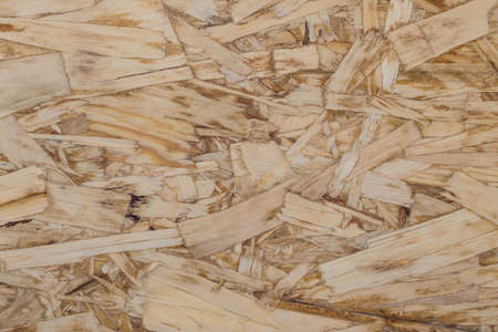 Plywood Texture