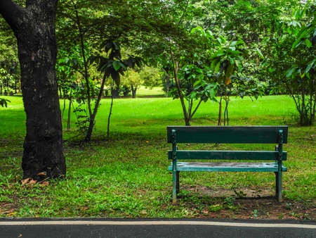 one green bench in the park in cityの写真素材