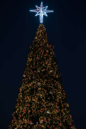 light star on christmas tree at night in christmas time and happy new yearの写真素材